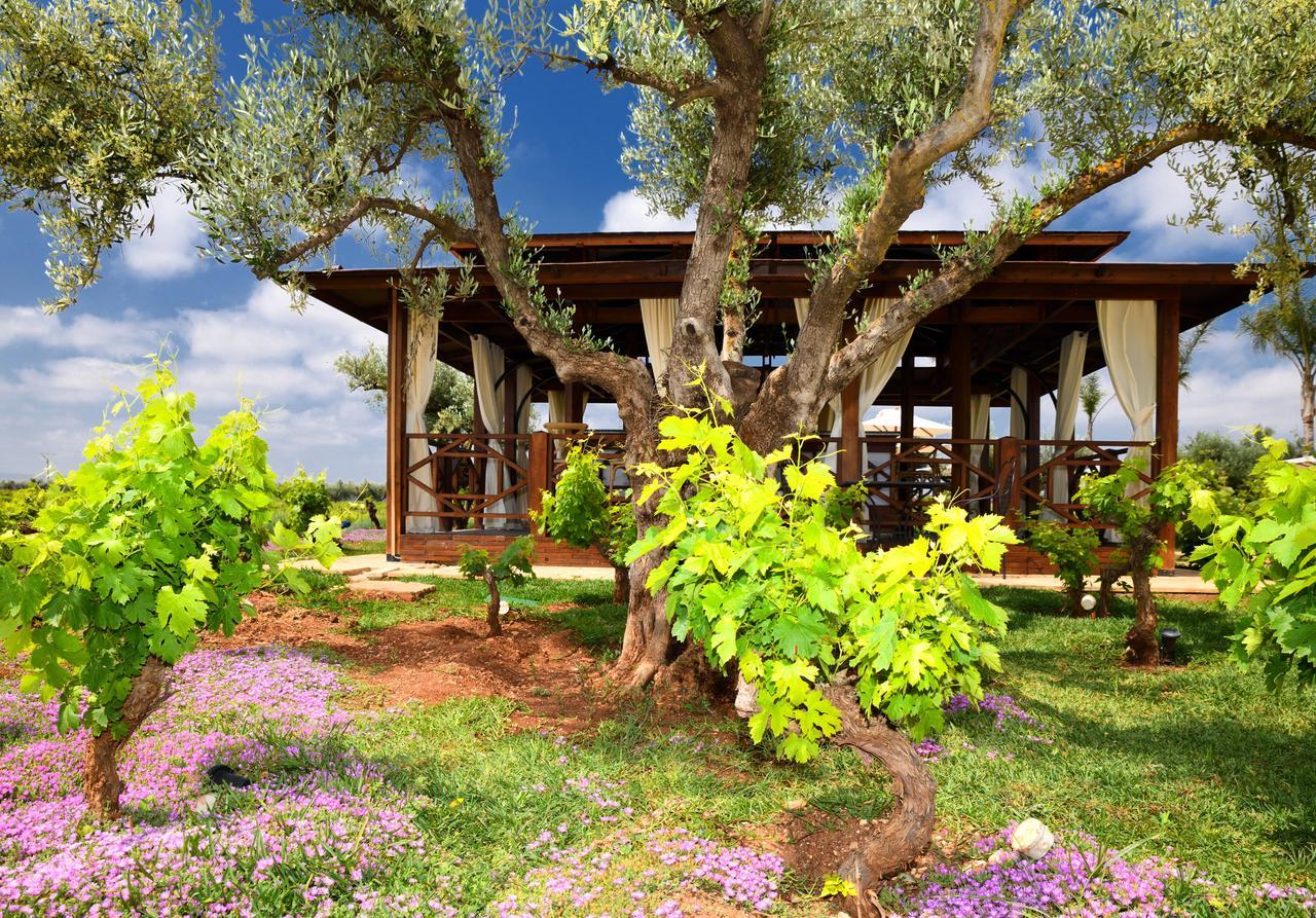Chateau Roslane Boutique Hotel & Spa Meknès Eksteriør billede