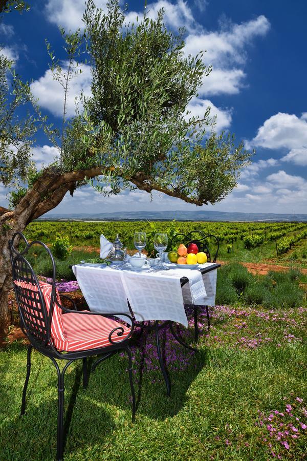 Chateau Roslane Boutique Hotel & Spa Meknès Eksteriør billede
